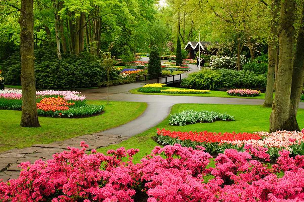 Aménagement de jardin Clermont