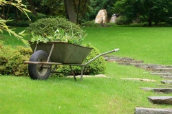 Entretien d'espaces verts Senlis